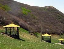 تفرجگاه
